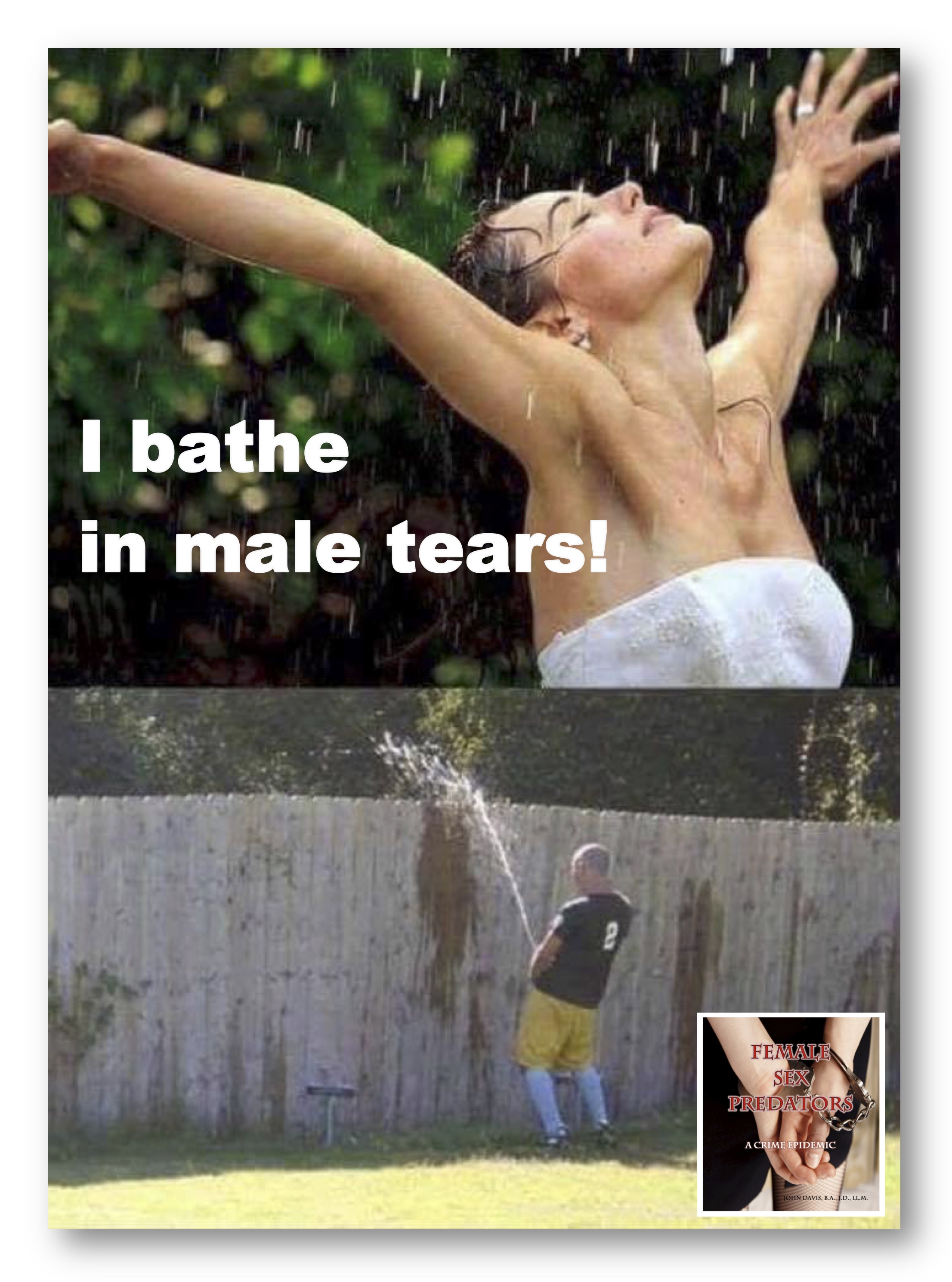Meme addressing male tears in a humorous manner.