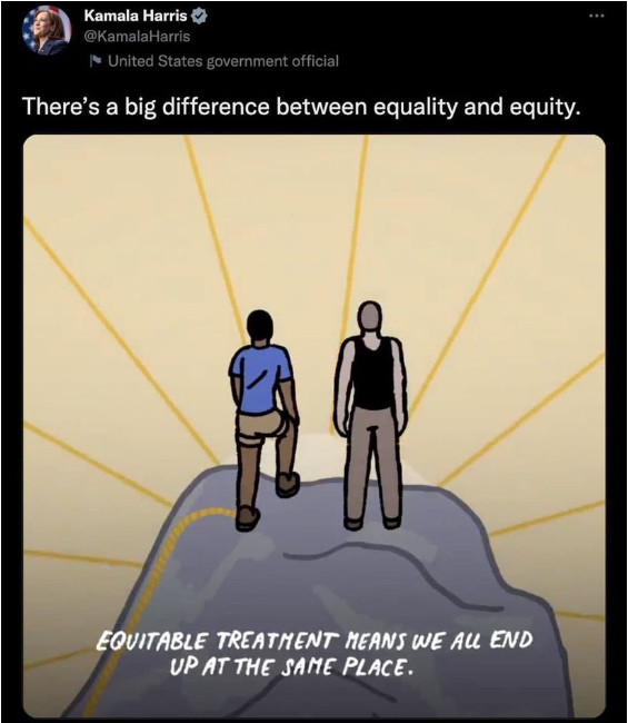 Kamala Harris explaining equality vs equity.