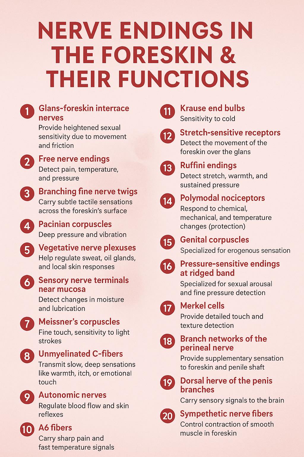 File:576877758 122146951754900983 8880906396241374470 n.jpg